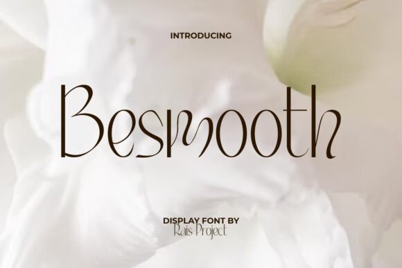 Besmooth: A Designer’s Honest Review for Real-World Projects