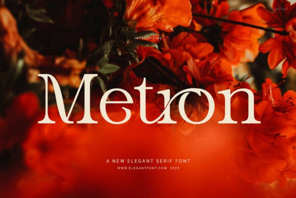 Metron Review: A Designer’s Take on This Serif Typeface